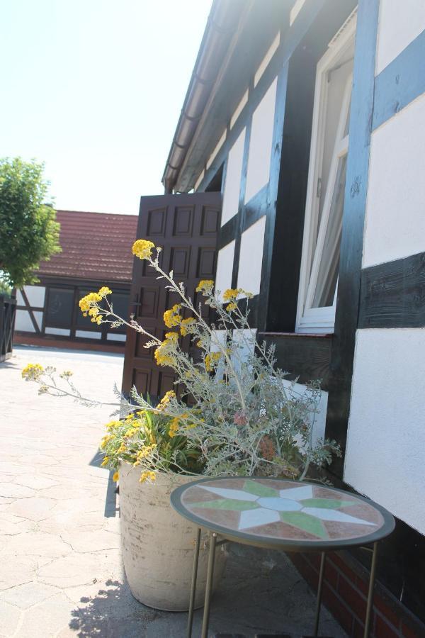 Dom Goscinny Flauta II Ustka Esterno foto